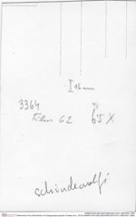 Historisches Foto (Rückseite) von Eopaguropsis grandis (Fraaije et al., 2019) (NHMW-AFW-GEO-BACHMAYER-FOTO-1990-0041-3364)
